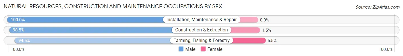 Natural Resources, Construction and Maintenance Occupations by Sex in Zip Code 54484