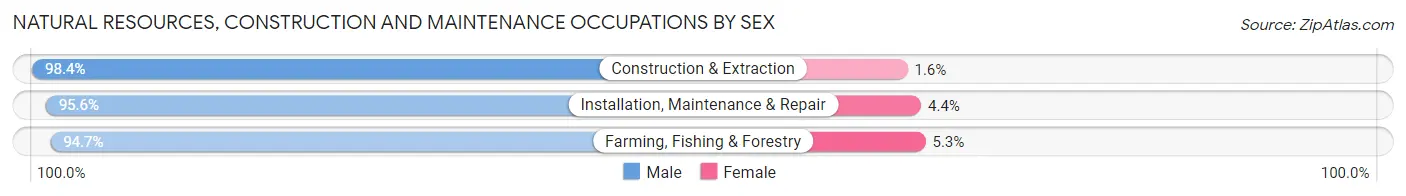 Natural Resources, Construction and Maintenance Occupations by Sex in Zip Code 54501