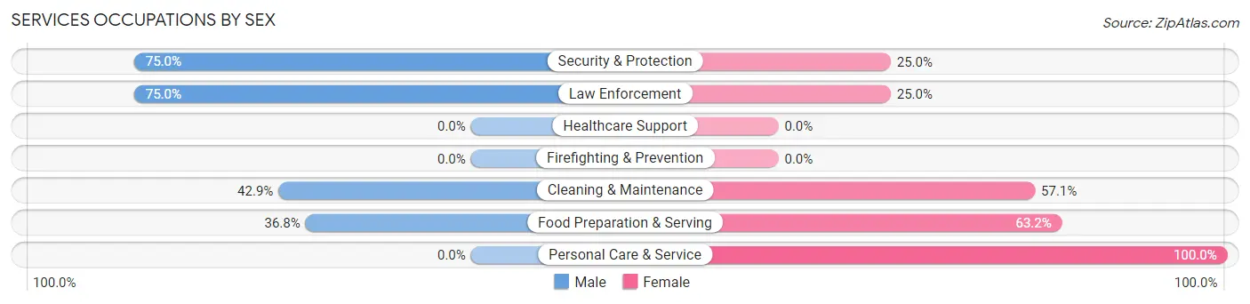 Services Occupations by Sex in Zip Code 54531