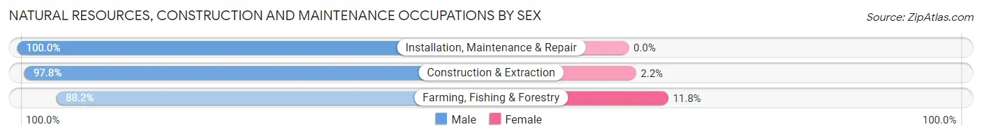 Natural Resources, Construction and Maintenance Occupations by Sex in Zip Code 54667