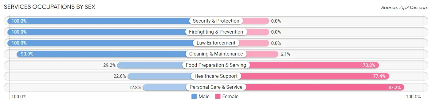 Services Occupations by Sex in Zip Code 54891