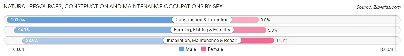 Natural Resources, Construction and Maintenance Occupations by Sex in Zip Code 54915
