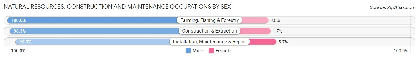 Natural Resources, Construction and Maintenance Occupations by Sex in Zip Code 54949