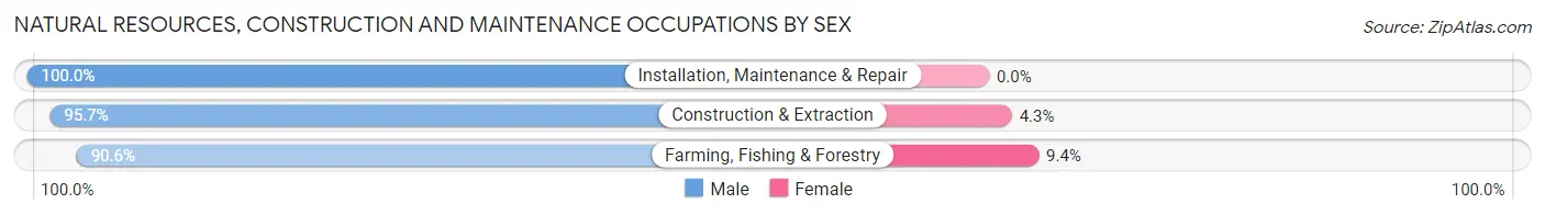 Natural Resources, Construction and Maintenance Occupations by Sex in Zip Code 54952