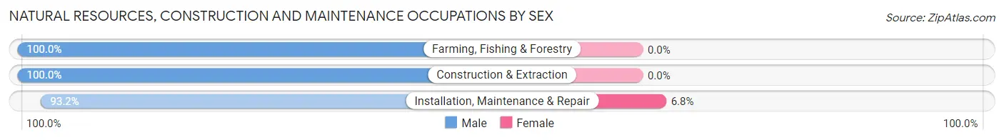 Natural Resources, Construction and Maintenance Occupations by Sex in Zip Code 55001
