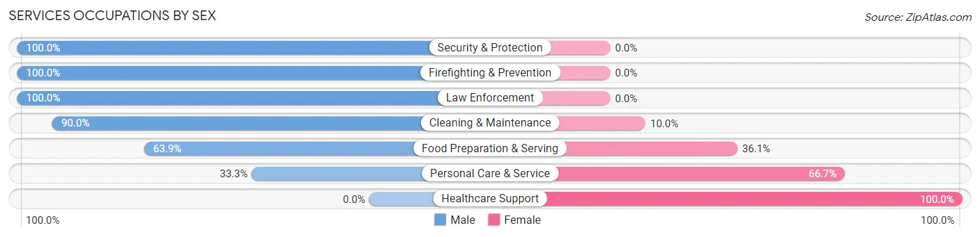 Services Occupations by Sex in Zip Code 55001
