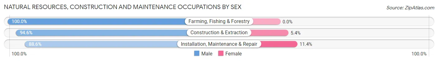 Natural Resources, Construction and Maintenance Occupations by Sex in Zip Code 55008