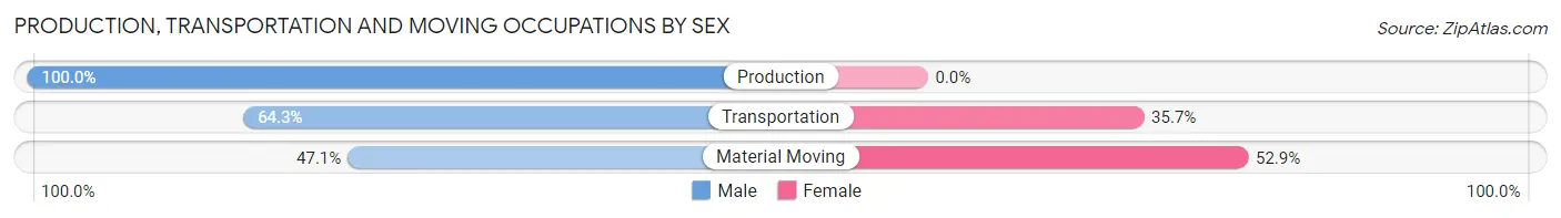 Production, Transportation and Moving Occupations by Sex in Zip Code 55020