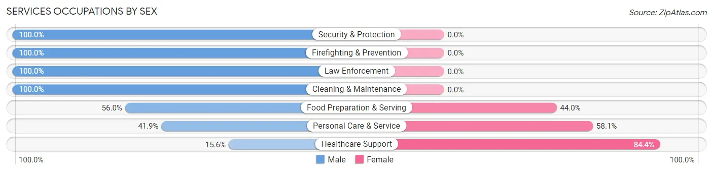 Services Occupations by Sex in Zip Code 55020