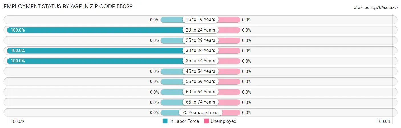Employment Status by Age in Zip Code 55029