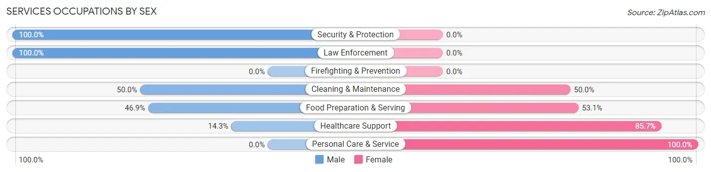Services Occupations by Sex in Zip Code 55030