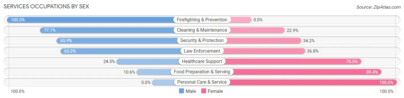Services Occupations by Sex in Zip Code 55080