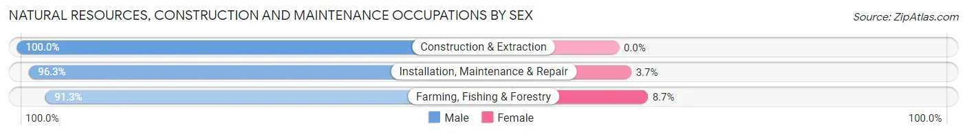 Natural Resources, Construction and Maintenance Occupations by Sex in Zip Code 55322