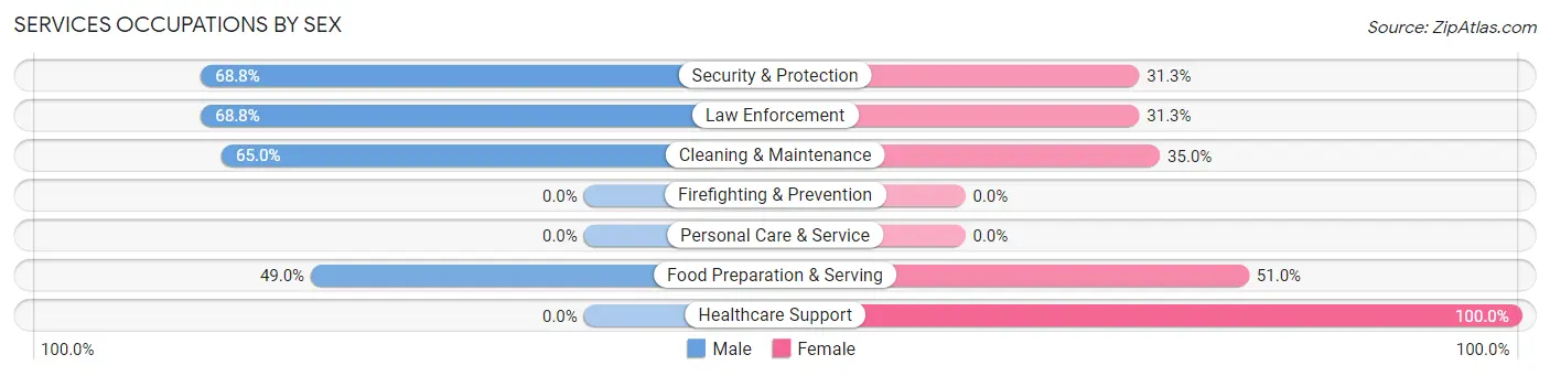 Services Occupations by Sex in Zip Code 55340