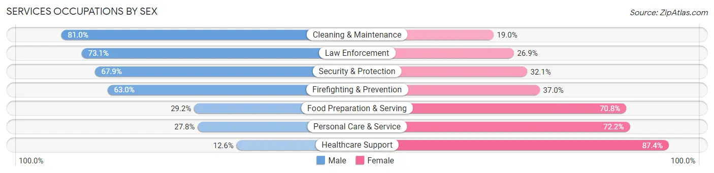 Services Occupations by Sex in Zip Code 55346
