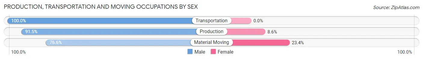 Production, Transportation and Moving Occupations by Sex in Zip Code 55381