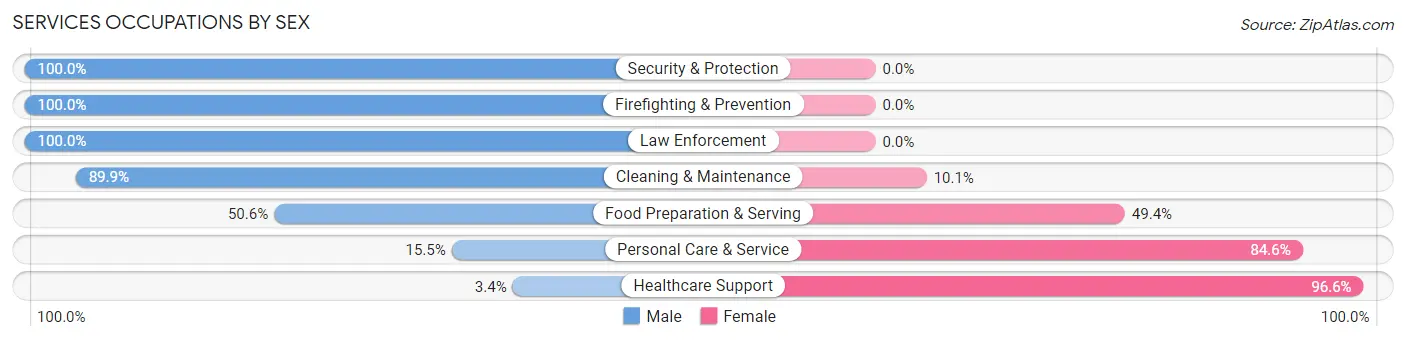 Services Occupations by Sex in Zip Code 55386