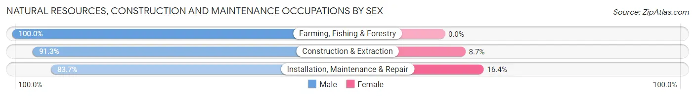 Natural Resources, Construction and Maintenance Occupations by Sex in Zip Code 55432