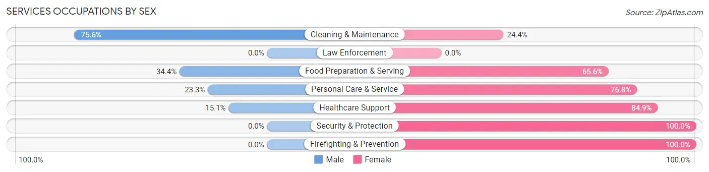 Services Occupations by Sex in Zip Code 55454