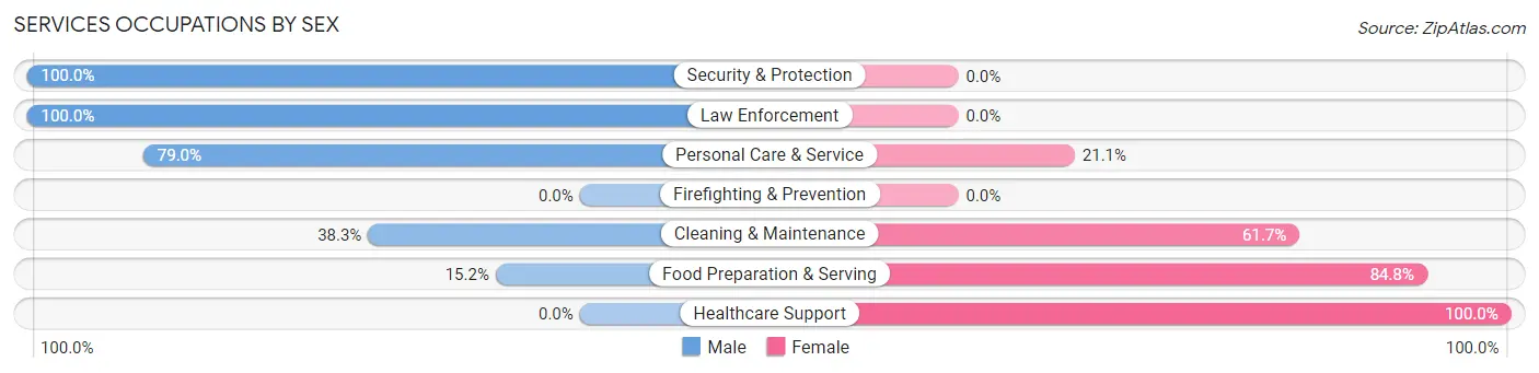 Services Occupations by Sex in Zip Code 55604