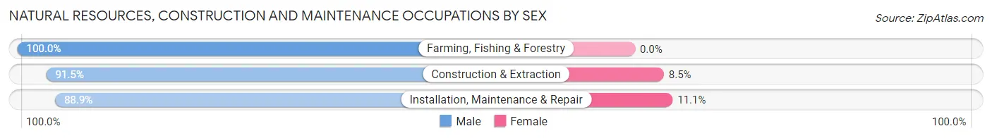 Natural Resources, Construction and Maintenance Occupations by Sex in Zip Code 55704