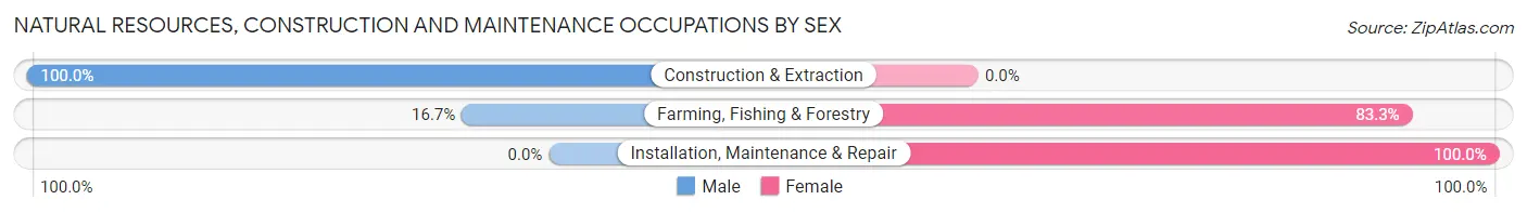 Natural Resources, Construction and Maintenance Occupations by Sex in Zip Code 55764