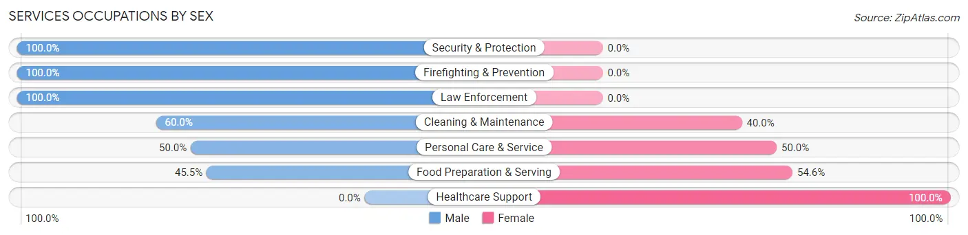 Services Occupations by Sex in Zip Code 55781