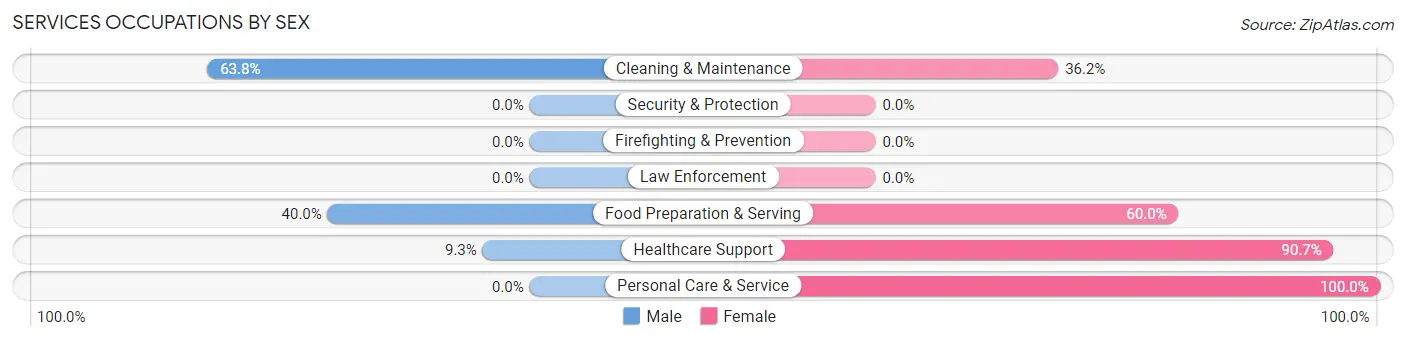 Services Occupations by Sex in Zip Code 55802