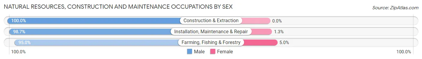 Natural Resources, Construction and Maintenance Occupations by Sex in Zip Code 55956