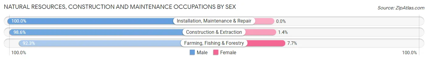Natural Resources, Construction and Maintenance Occupations by Sex in Zip Code 55963