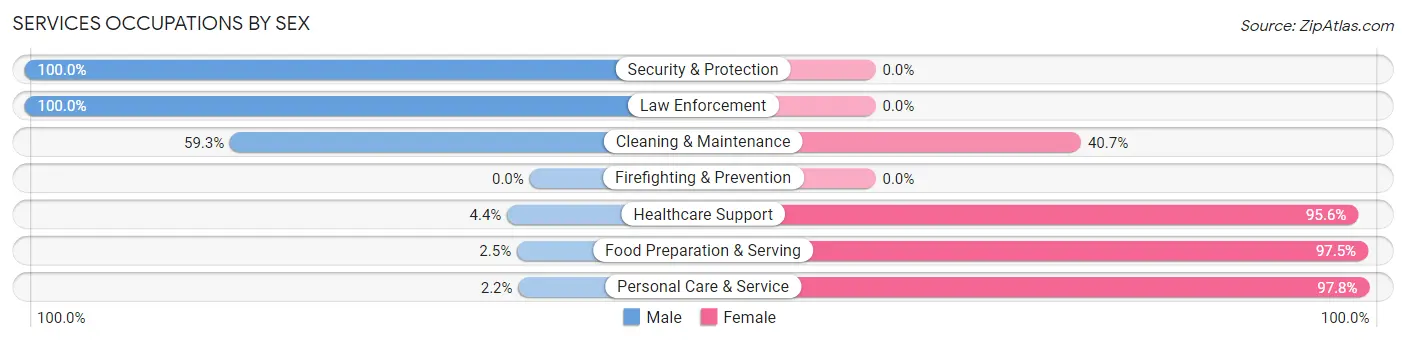 Services Occupations by Sex in Zip Code 55965