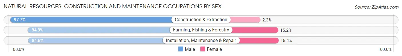 Natural Resources, Construction and Maintenance Occupations by Sex in Zip Code 56001