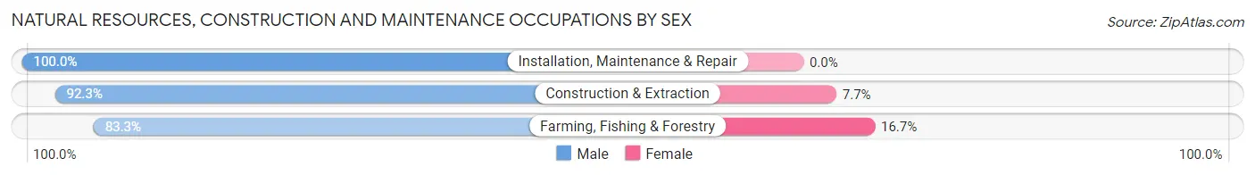 Natural Resources, Construction and Maintenance Occupations by Sex in Zip Code 56036