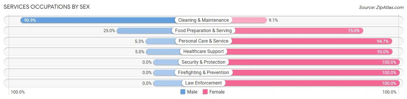 Services Occupations by Sex in Zip Code 56036