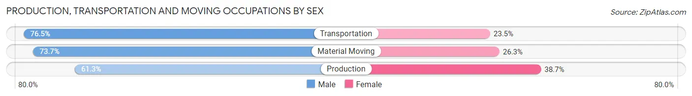 Production, Transportation and Moving Occupations by Sex in Zip Code 56039