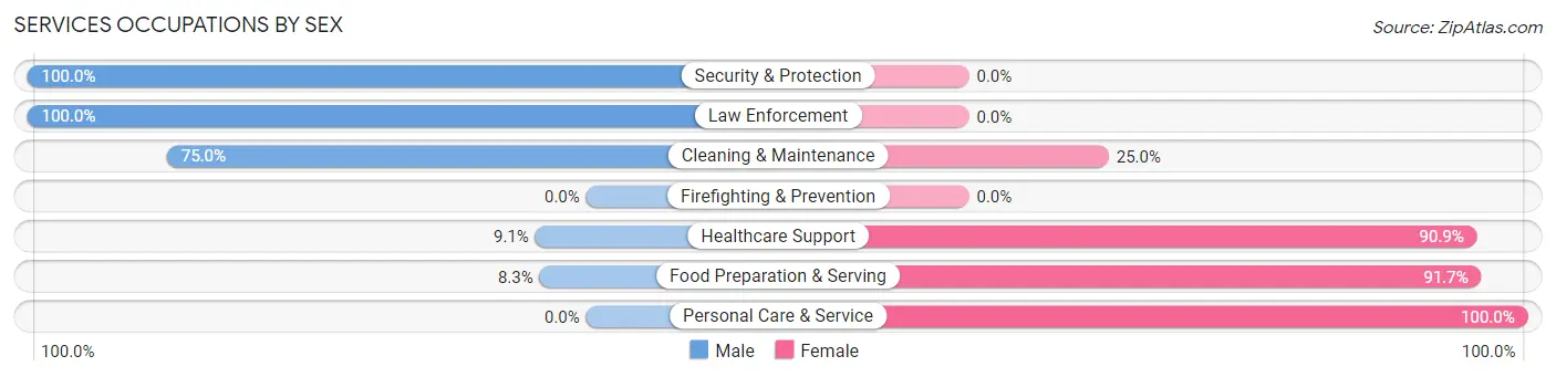 Services Occupations by Sex in Zip Code 56039