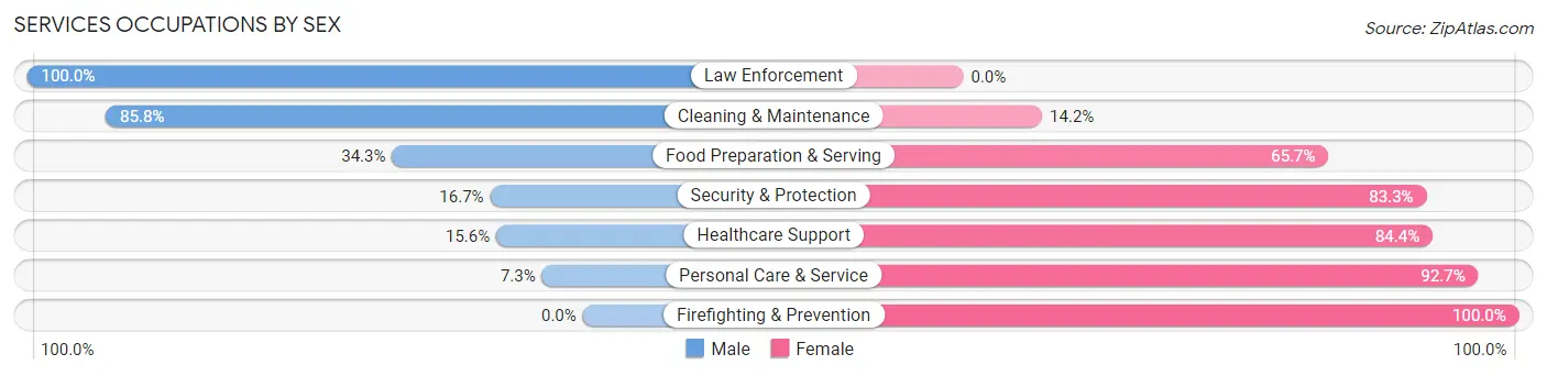 Services Occupations by Sex in Zip Code 56058