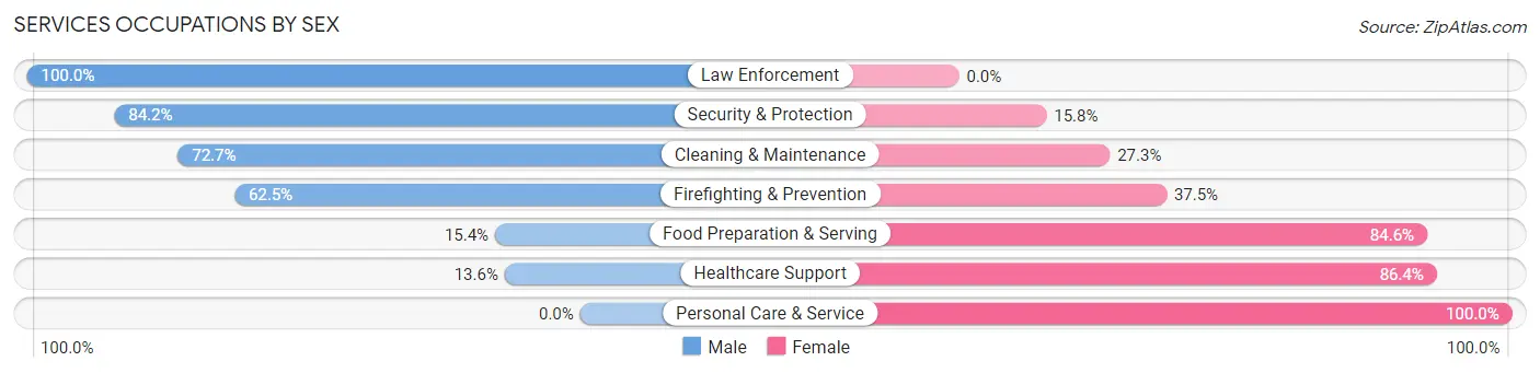 Services Occupations by Sex in Zip Code 56080