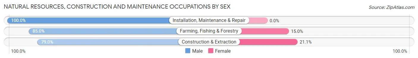 Natural Resources, Construction and Maintenance Occupations by Sex in Zip Code 56082