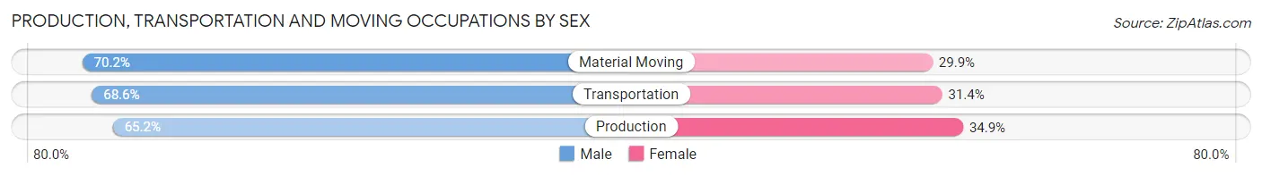 Production, Transportation and Moving Occupations by Sex in Zip Code 56082
