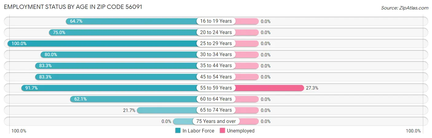 Employment Status by Age in Zip Code 56091