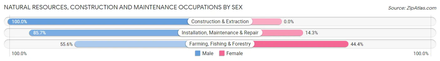 Natural Resources, Construction and Maintenance Occupations by Sex in Zip Code 56111