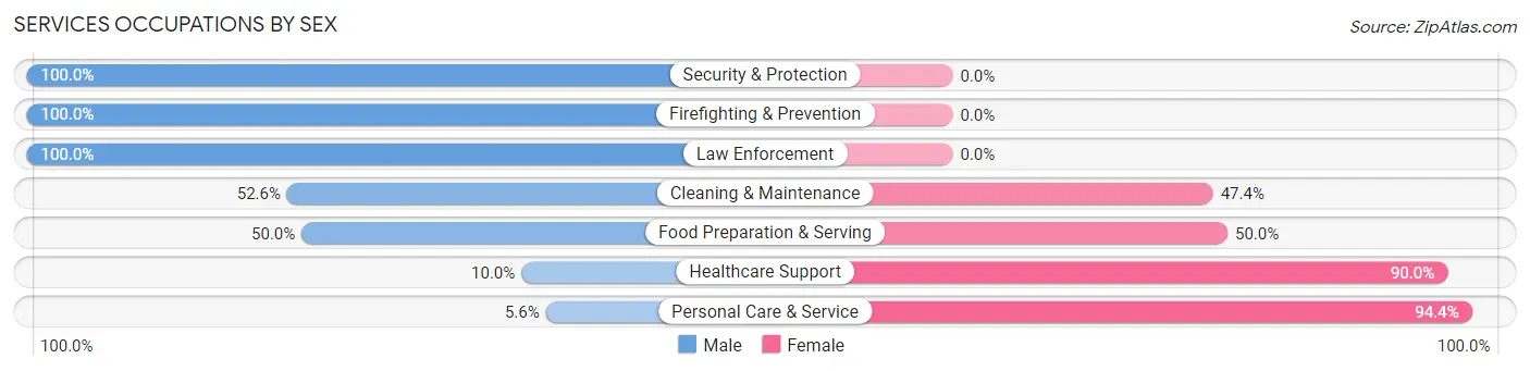 Services Occupations by Sex in Zip Code 56159