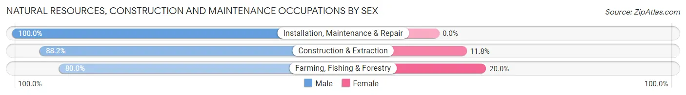 Natural Resources, Construction and Maintenance Occupations by Sex in Zip Code 56218