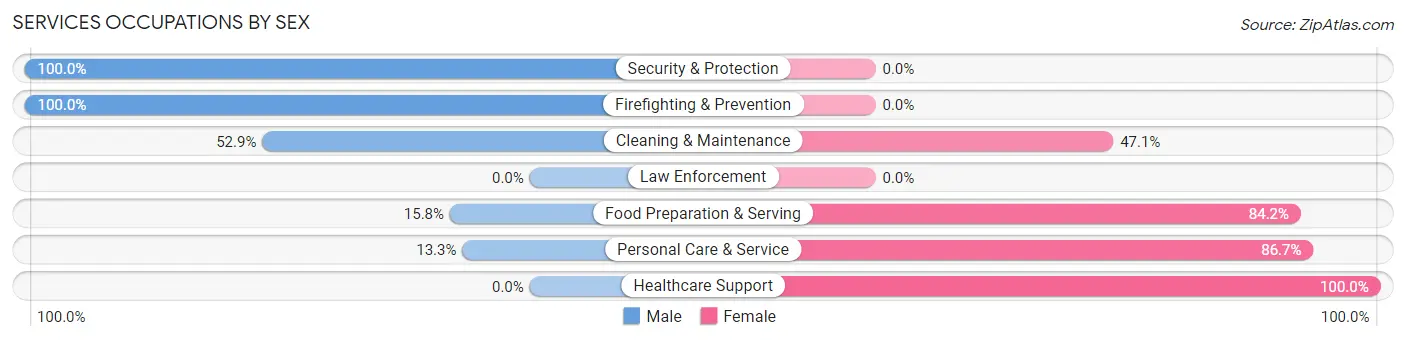 Services Occupations by Sex in Zip Code 56229