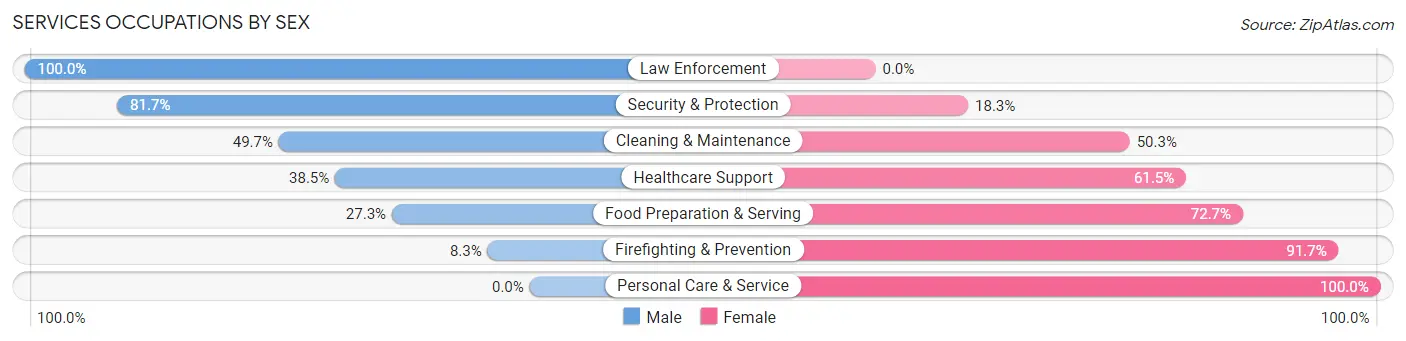 Services Occupations by Sex in Zip Code 56283