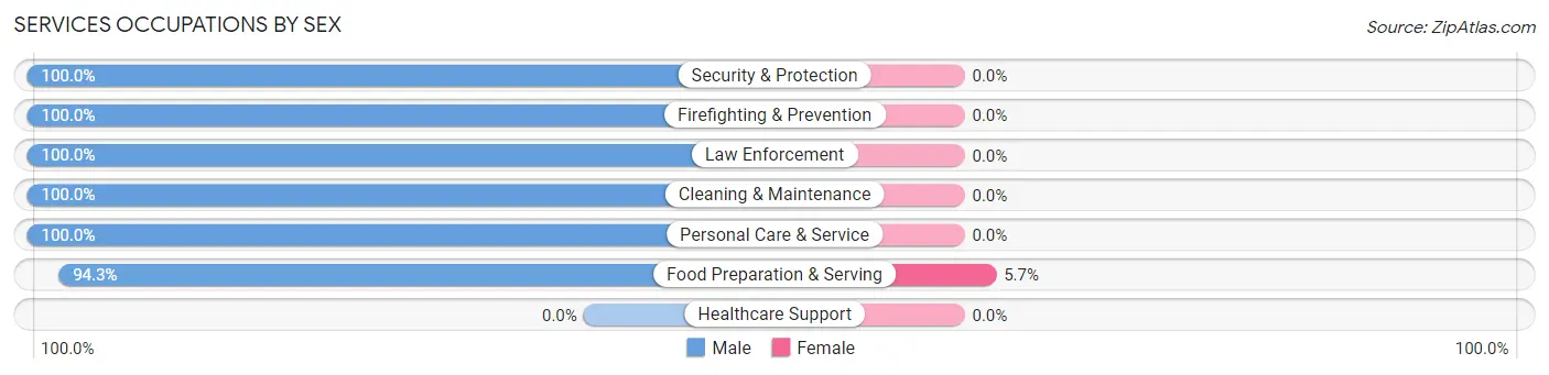 Services Occupations by Sex in Zip Code 56321