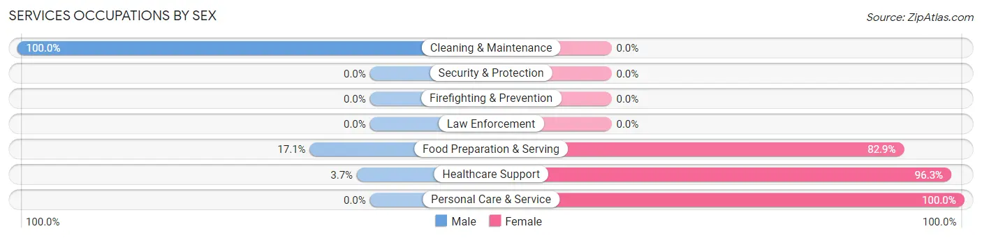Services Occupations by Sex in Zip Code 56339