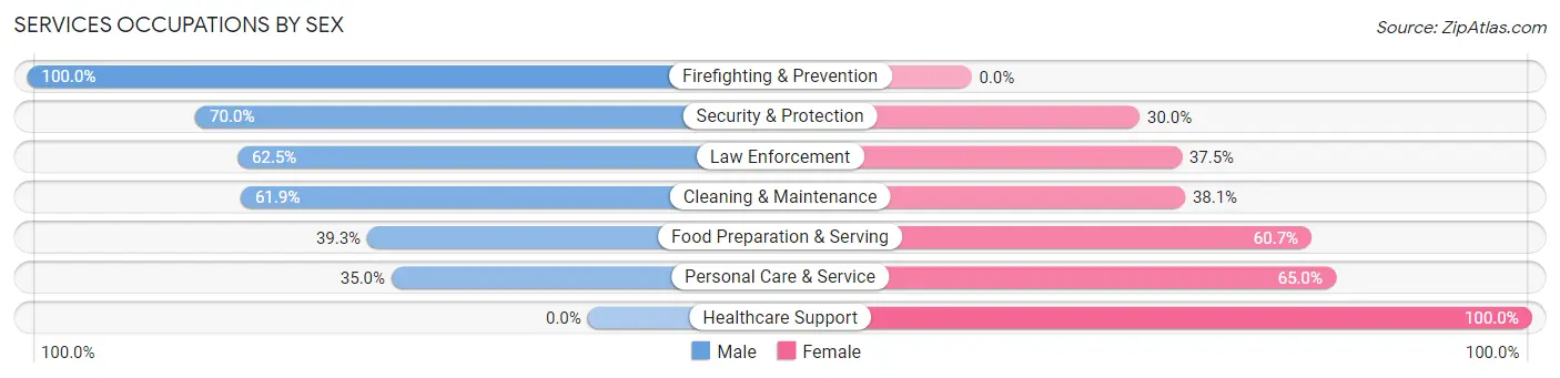Services Occupations by Sex in Zip Code 56342