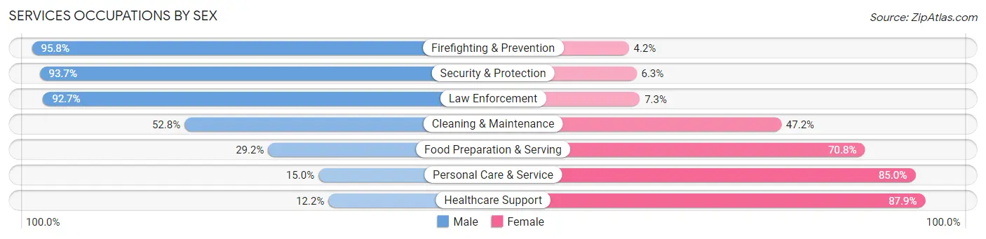 Services Occupations by Sex in Zip Code 56379